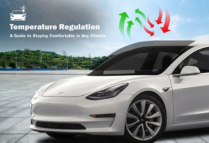 automotive-tint-graphics-img