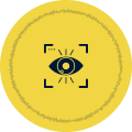 maximum-visual-ic