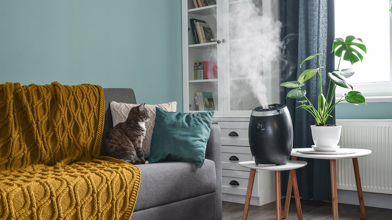 Humidifiers: What They Do for Health, Uses, Types, and More